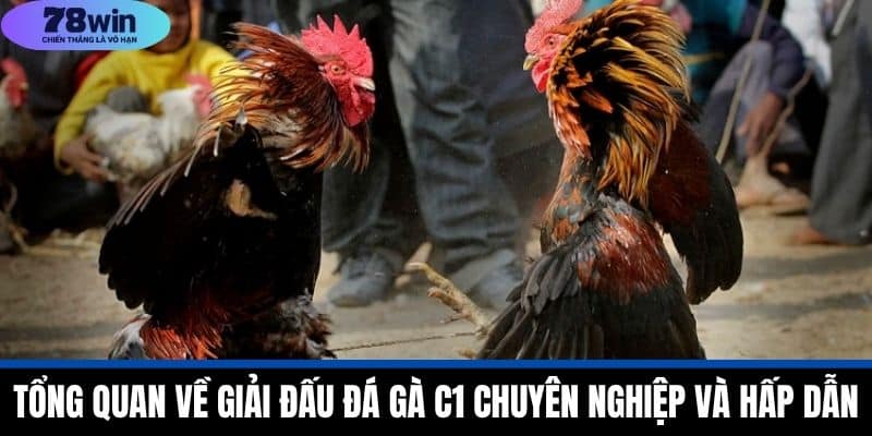 Đá Gà C1 - Giới Thiệu Giải Đấu Chuyên Nghiệp Tại 78WIN 2 Tổng Quan Về Giải Đấu Đá Gà C1 Chuyên Nghiệp Và Hấp Dẫn