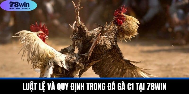 Đá Gà C1 - Giới Thiệu Giải Đấu Chuyên Nghiệp Tại 78WIN 3 Luật Lệ Và Quy Định Trong Đá Gà C1 Tại 78WIN