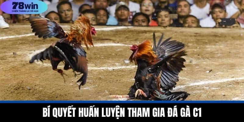 Đá Gà C1 - Giới Thiệu Giải Đấu Chuyên Nghiệp Tại 78WIN 4 Bí Quyết Huấn Luyện Tham Gia Đá Gà C1