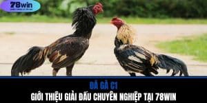 Đá Gà C1 - Giới Thiệu Giải Đấu Chuyên Nghiệp Tại 78WIN