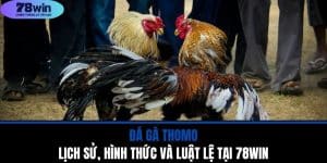 Đá Gà Thomo - Lịch Sử, Hình Thức Và Luật Lệ Tại 78WIN