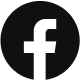 footer logo 12