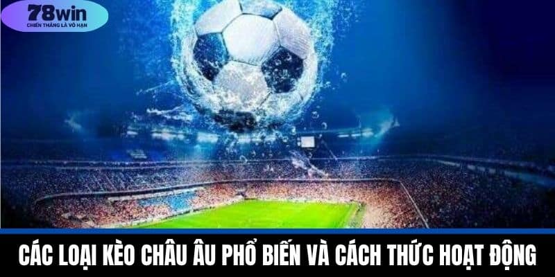 Kèo Châu Âu Tại 78WIN - Cách Hiểu Và Ưu Nhược Điểm Cần Biết 3 Các Loại Kèo Châu Âu Phổ Biến và Cách Thức Hoạt Động